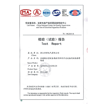 QITE(V)-12/1250-25全绝缘全密封金属封闭环网开关设备用断路器带隔离检验报告